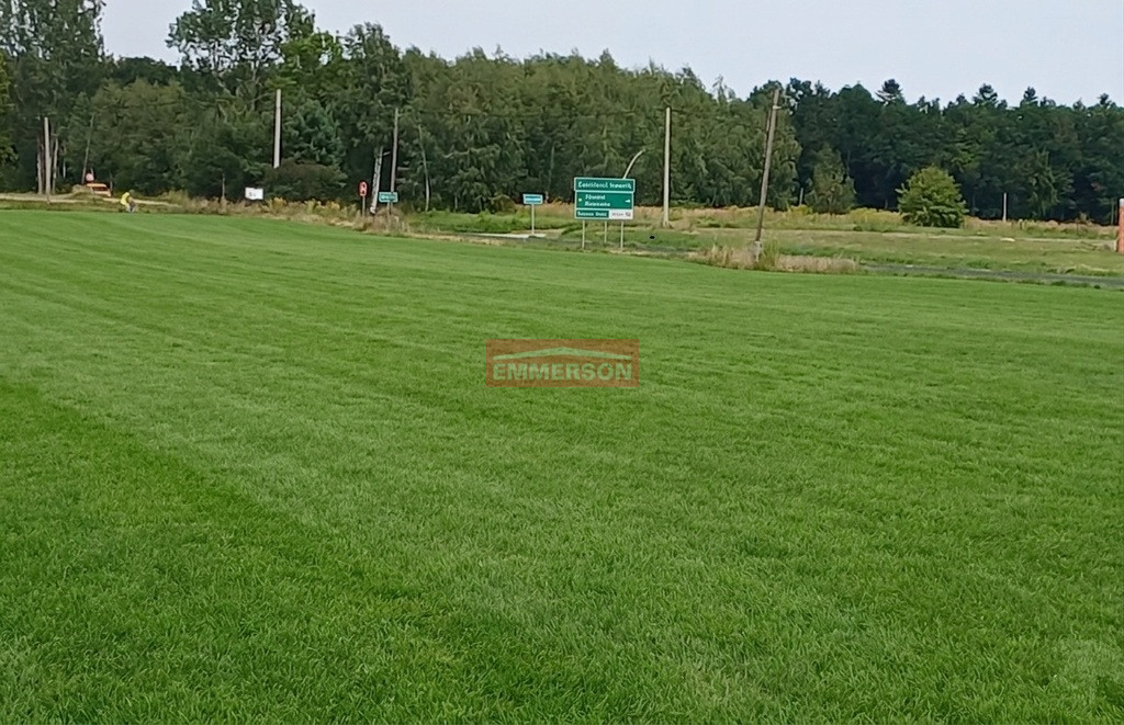 Działka Sprzedaż Minoga