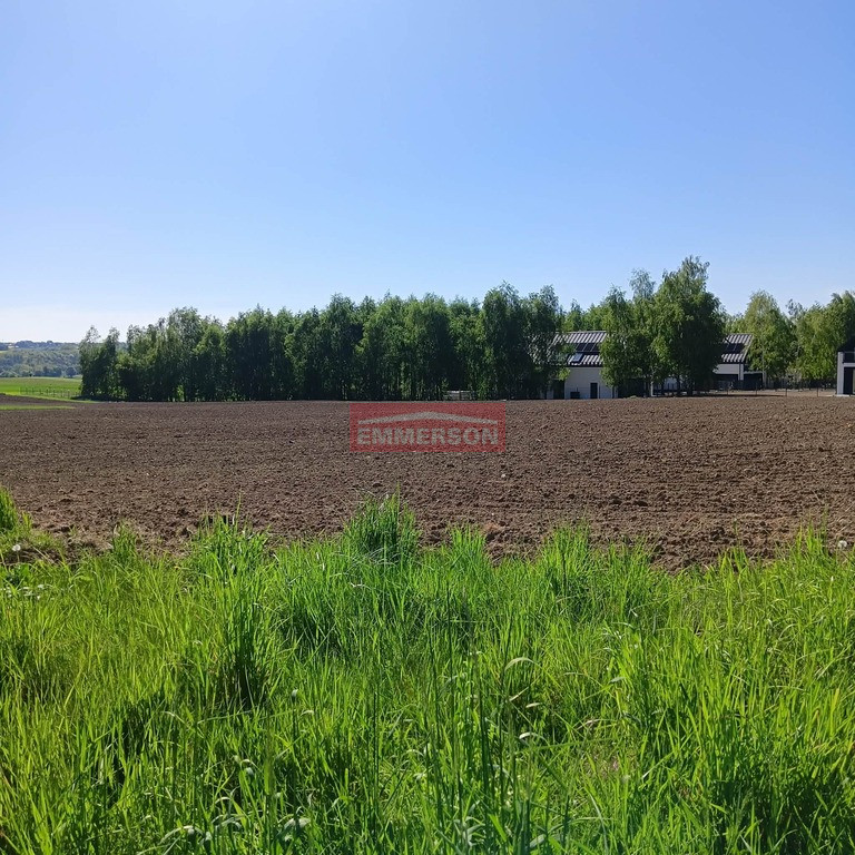 Działka Sprzedaż Minoga
