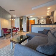 Mieszkanie na wynajem