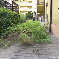 Lokal na sprzedaż